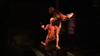 Le 