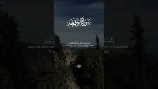 Surah for Increase in Wealth and Rizq #quranforsleep #alquran #peace #quranshorts #islamicshorts