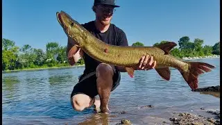 Giant Musky | Rock River @camorosefilms