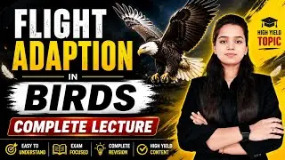 🕊️ Flight Adaptation in Birds | Complete Zoology Lecture for M.Sc. Entrance Exam | Kritika Classes