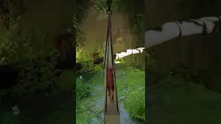 STRAY CAT,S ADVENTURE  key Moments  Part 1
