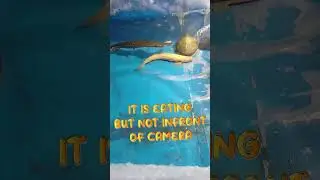 GOT A NEW MONSTER || TANK MAKEOVER N REPAIR || #aquarium #fish #catfish #feeding