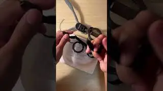 ASMR unboxing of TELESIN smartphone magnetic Neck Holder | POV#amazon #england #smartphone #gadgets