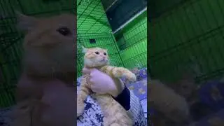 Небольшие изменения