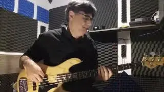 Stillness of Heart Bass Cover ( Lenny Kravitz )