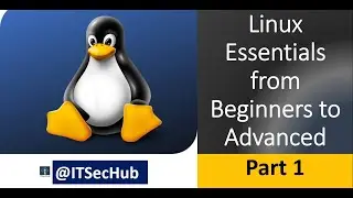 Linux Essentials | Know how to change your Shell to Bash