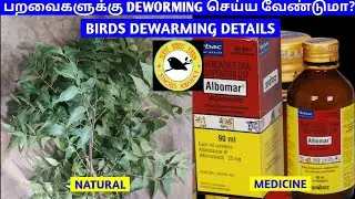 BIRDS DEWORMING DETAILS VIDEO | DEWORMING FOR BIRDS | NATURAL AND MEDICINE |தமிழ் | FINCHES KRISHNA