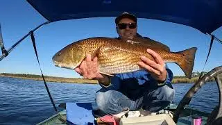 Shocking Results: Catching Redfish on an E-Motor Boat!