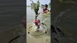 Best Hook Trap Fishing