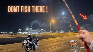 Best Night Fishing Spot at Miami's Causeway Bridge