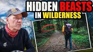 A Hiker and Firefighter's Eerie ENCOUNTER's in the FOREST | 2 True STORIES