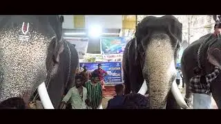 Gajapooja, Gajayoottu @ Balamurali trust
