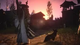 Cat Play: Kitten - Zhu Laosan (Heavenfall) | Where Winds Meet PS5