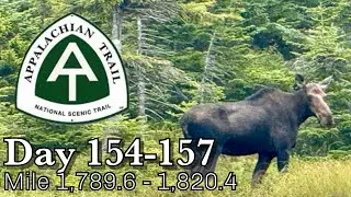 Поход по Аппалачской тропе '25 | ПЕРВЫЙ ЛОСЬ!!!! Большие и страшные Белые горы