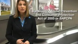 1 Bankruptcy Introduction