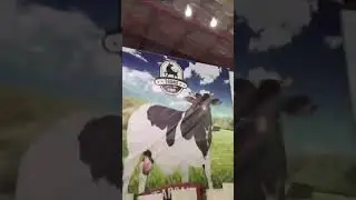 Heavy cow 2020 in sohrab goath mandi Must watch