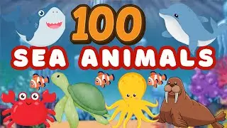 100 Sea Animals for Kids to Learn Part 1 | Ocean Animal Names & Facts