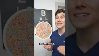 Can You Pass This Colorblind Test?