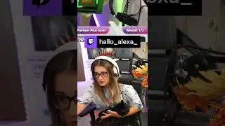 Katze Kaffee | hallo_alexa_ auf #Twitch