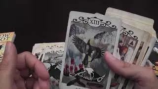 Crow Tarot Deck Review