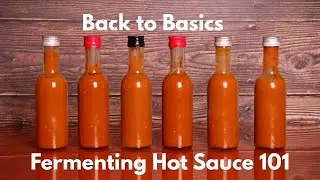 How To Make Probiotic Hot Sauce At Home!