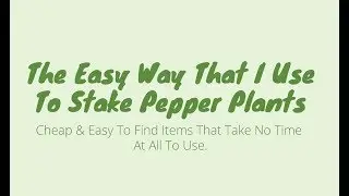 How to Easily Stake Peppers