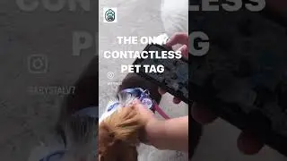 TAP TAP The Smart Pet Tag