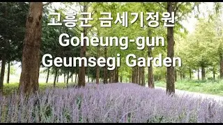 한국 여행 :  고흥군 금세기정원 / 드론 영상 (Richard Park/리차드박)