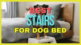 🔥 Best Dog Stairs for Bed in 2025 ☑️ TOP 5 ☑️
