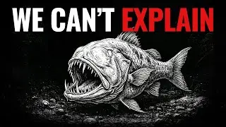 Why Life at 30,000 Feet Deep Evolves Into Pure Horror