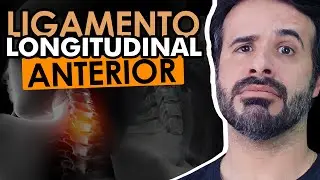 LIGAMENTO LONGITUDINAL ANTERIOR: CHEGOU A HORA DE SABER A VERDADE SOBRE ELE!
