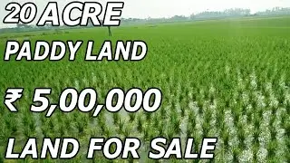 20 ACRE PADDY LAND FOR SALE | WATER FACILITY PROPERTY ₹ 5,00,000 | PROPERTY PROMOTION TV