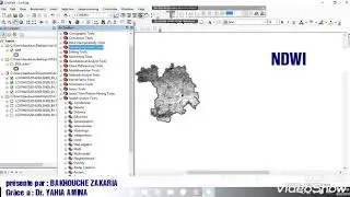 ArcGIS ~ ArcMap : NDWi