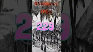 Shompen tribe | Tribes of India | UPSC MPPSC TRIBAL PEOPLE | ELECTION IN INDIA | ANDAMAN AND NICOBAR