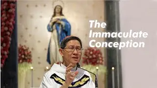 What will this LADY do? |  Homily of Cardinal Tagle on the Feast of the Immaculate Conception