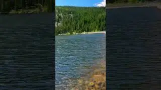 Inside Colorado's BEST Fly Fishing Lakes
