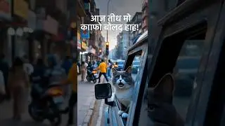Billi Aur City Ke Log 🐱🏙️ | Real Feel Cat Story |  #shorts #youtubeshorts #ai