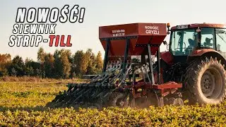 Nowość! Grizli GR 240 - Siewnik Strip-Till | Jedyny taki w Polsce