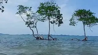 PANTAI CAKANG - JEMBATAN 6 BARELANG BATAM