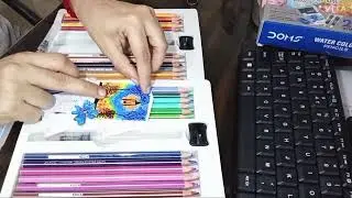 Tutorial} Water Colour Pencils ✏️ | #DOMS #art #youtubeshorts #shortsfeed