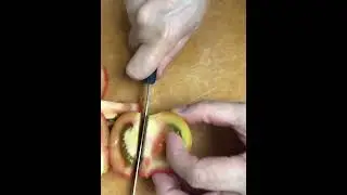 TOMATO #slicing #sounds#short#viral# asmr