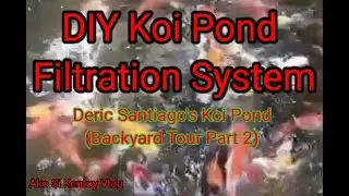 DIY Koi Pond Filtration System (Backyard Tour Part 2)