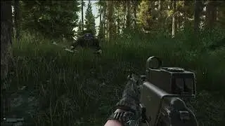 First Woods expansion experience in Tarkov