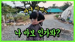 [149화] 치매할머니가 자신이 바보가 된 것 같다고 말씀 하신 사연
