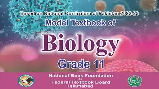 LECTURE 01 | Protists & Fungi Chapter 7 Federal Board Biology Protists-the evolutionary relationship