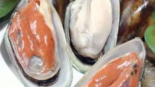 A Story of Joint Health, Starring Green-Lipped Mussels