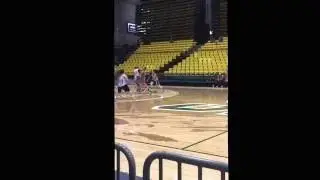 TIMP VS TIGERS 2