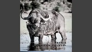 Nefris
