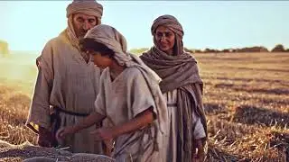 The Gleaning - Israels Agricultural Laws as a Prophetic Pattern