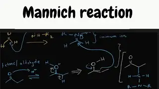 Mannich reaction / mechanism explained
